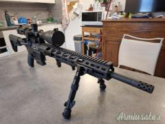 Ruger | Sturm Ar 15 .223 Remington