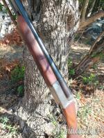 Zoli Antonio ariete 12