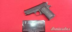 Para Ordnance P 12 - 45 Cal.45 HP