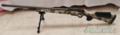 Carabina franchi 223