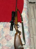 Carabine canna rigata