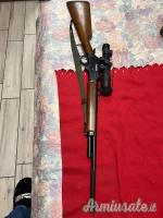 Carabine canna rigata