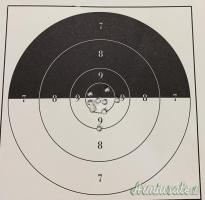 Enfield trainer lithgow .22 Long Rifle