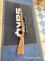 Ruger MOD. 10-22 CAL.22 Long Rifle (usata) (VEDI LA DESCRIZIONE)