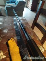 Beretta 391 Urika  12