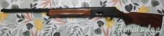 Browning 2000 12