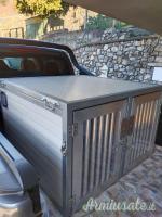 Gabbia trasporto cani.