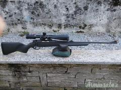 Steyr Mannlicher nn .243 Winchester