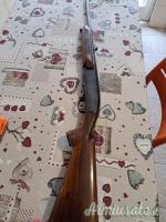 742 .280 Remington  |  7 mm Express Remington