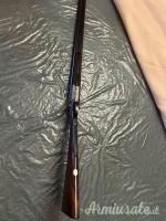 ...Altro | Non elencato Cani esterni 12