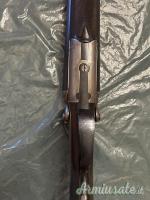 ...Altro | Non elencato Cani esterni 12