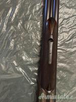 ...Altro | Non elencato Cani esterni 12