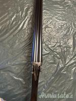 ...Altro | Non elencato Cani esterni 12