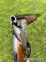 Rizzini Emilio artemis small action 28