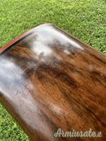 Rizzini Emilio artemis small action 28