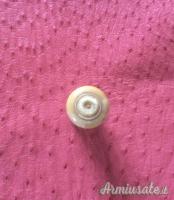 PORTA PERCUSSORI IN AVORIO