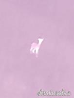 Leupold LTO - tracker 2 visore termico leggerissimo