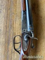 ...Altro | Non elencato Cani esterni  28