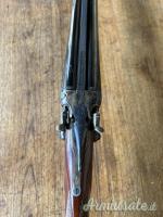 ...Altro | Non elencato Cani esterni  28