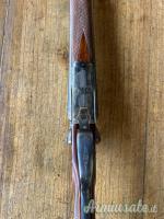 ...Altro | Non elencato Cani esterni  28