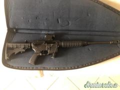 Bushmaster  .223 Remington
