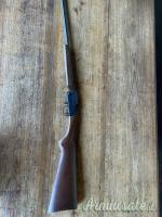 ...Altro | Non elencato Cane esterno 8