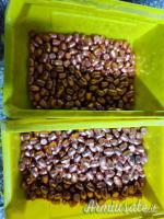 Palle ramate Cal. 45