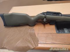 Diana R22-CARBON .22 Long Rifle