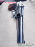 ...Altro | Non elencato THUNDER CHIEF  .38 Special  |  9x29mmR