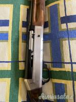 Benelli raffaello special 20