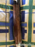 Benelli raffaello special 20