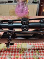 Sauer 202 .25-06 Remington