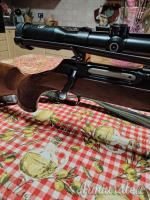 Sauer 202 .25-06 Remington