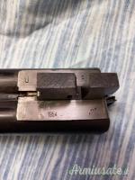 Daffini cani esterni 12