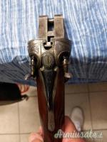 Daffini cani esterni 12