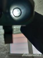 Daffini cani esterni 12