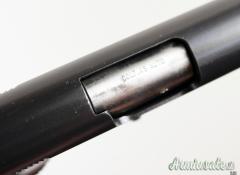 Colt Government .45 ACP