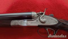 Zanotti Cani esterni 12