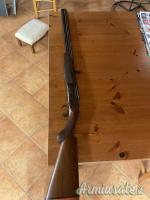 Rizzini Emilio Artemis 20