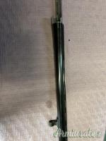 Canna Benelli cal.12