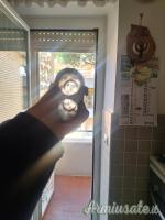 Beretta 682 gold E cal.12