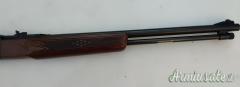 Winchester 290 .22 Long Rifle
