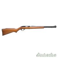 Marlin 60 .22 Long Rifle
