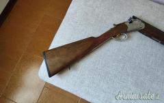 Beretta Silver pigeon 20