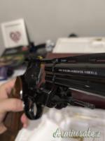 Colt Python  .357 Magnum  |  9x31mmR  | .353 Casull