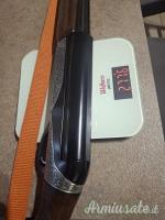 Benelli Raffaello elegant 12