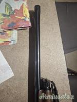 Benelli Raffaello elegant 12