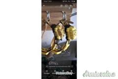 Bsplanet gps beeper central dressage evomap 3000.kit