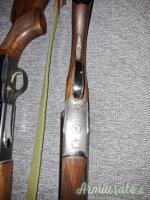 Beretta A303 12