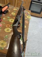 Benelli Raffaello Elegant  12